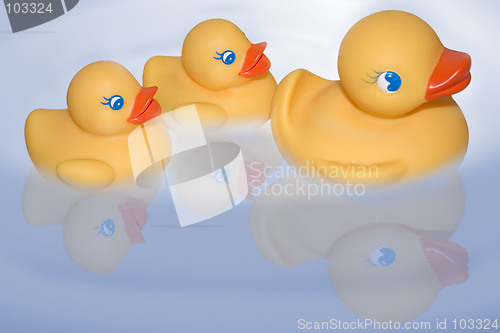 Image of floating duckies