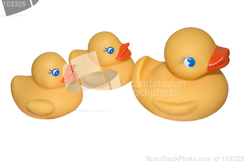 Image of Rubber Duckies