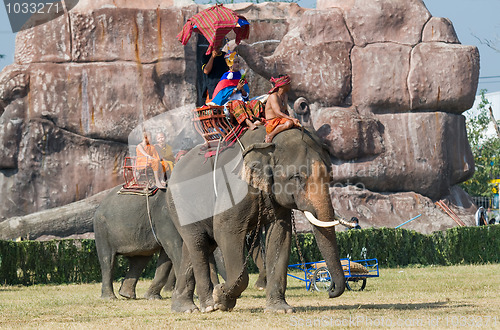 Image of The Annual Elephant Roundup in Surin, Thailand