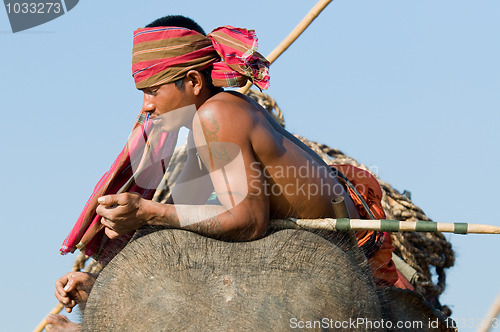 Image of The Annual Elephant Roundup in Surin, Thailand