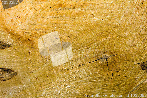 Image of Tree structure