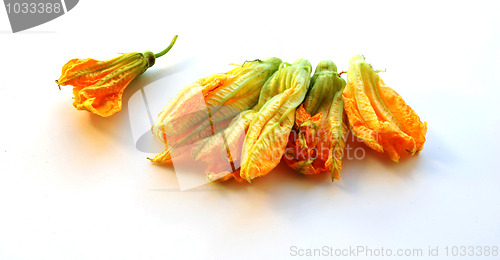 Image of five squash flowers