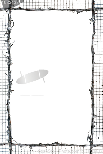 Image of Net and straw frame