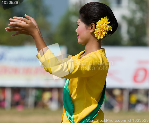 Image of The Annual Elephant Roundup in Surin, Thailand