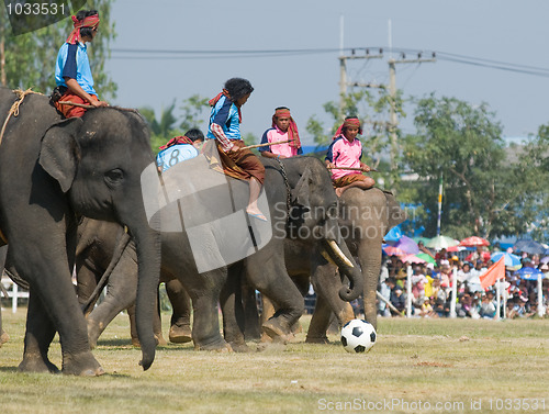 Image of The Annual Elephant Roundup in Surin, Thailand