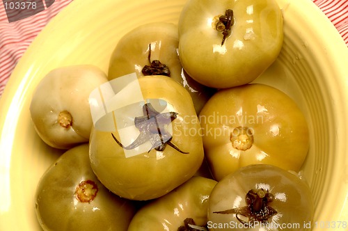 Image of pickled tomatoes