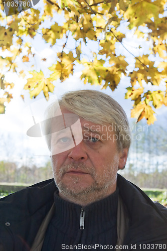 Image of Portrait of middle-aged man in autumn day.