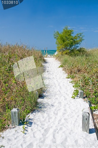 Image of Summer Vacation Beach