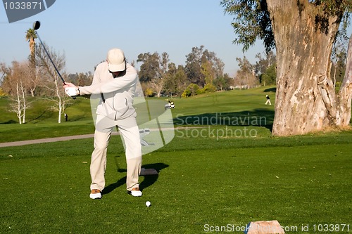 Image of Golfer