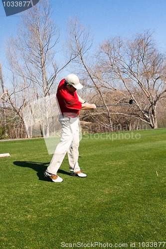 Image of Golfer