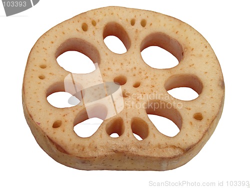 Image of Lotus root