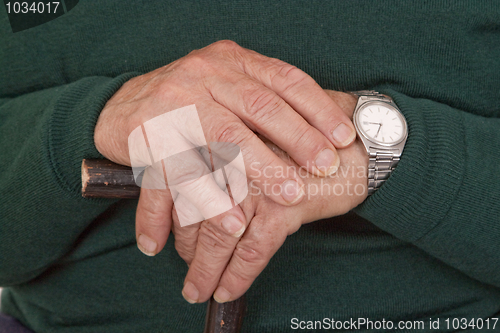 Image of Walking stick in hands