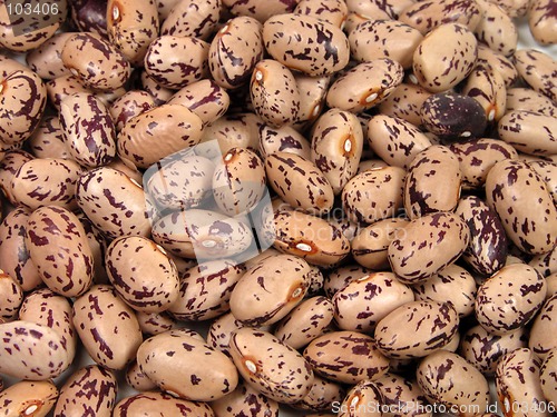 Image of Spotted beans texture