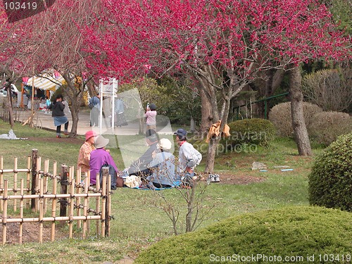 Image of Hanami party