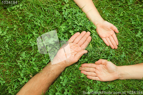 Image of Three hands in grass