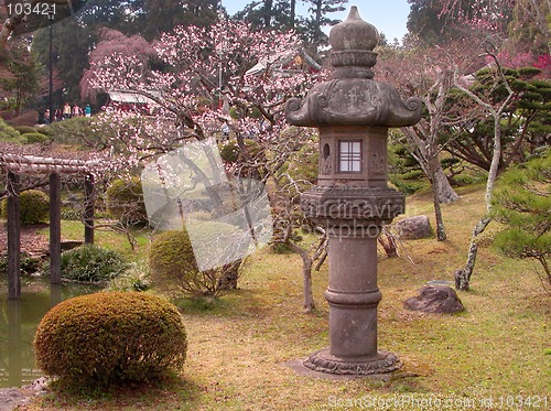 Image of Early spring Japanese garden