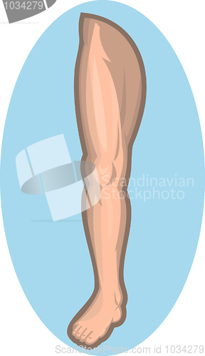 Image of Human leg facing front