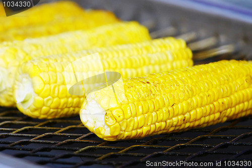 Image of Grilled Corn