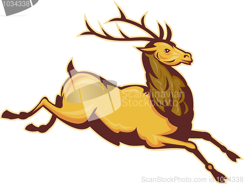 Image of Stag deer or buck jumping