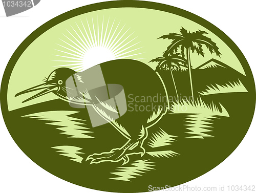 Image of Kiwi bird