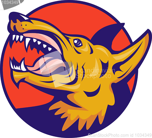 Image of Angry wolf or wild dog baring fangs