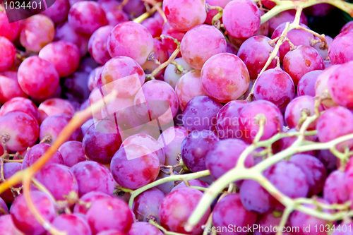 Image of Red grapes