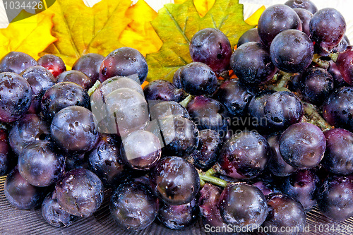 Image of Dark grapes