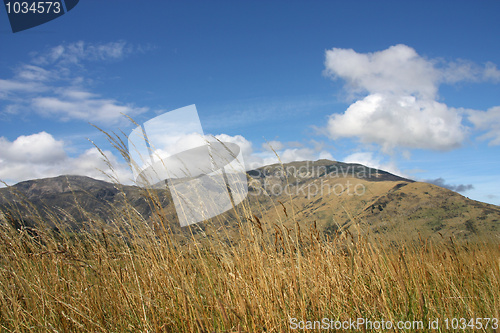 Image of Otago