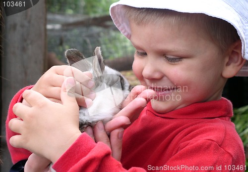 Image of Boy and Rabbit