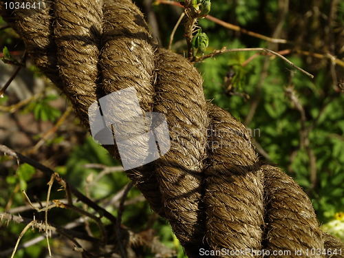 Image of old rope detail