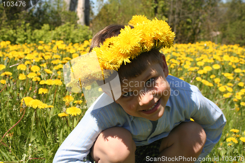 Image of Kid and Dandelions