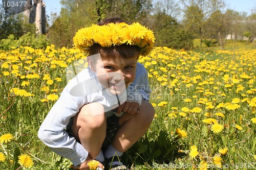 Image of Kid and Dandelions