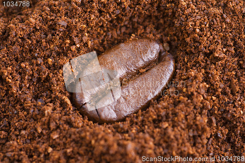 Image of Coffee bean