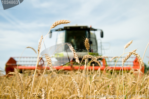 Image of ripe wheat with combine at background in field