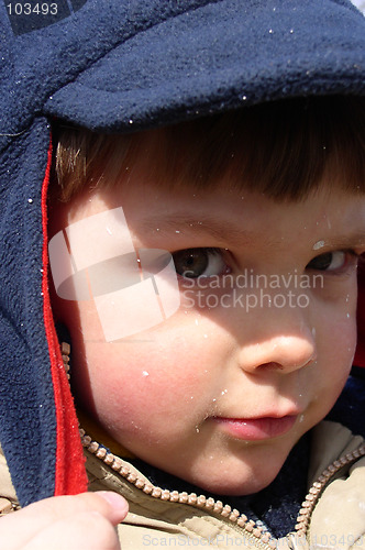 Image of Look