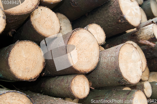 Image of Pine timber
