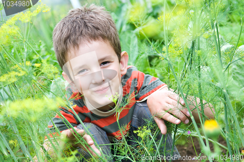 Image of happy boy outdoors