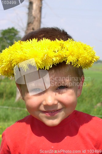 Image of Child and Dandelions