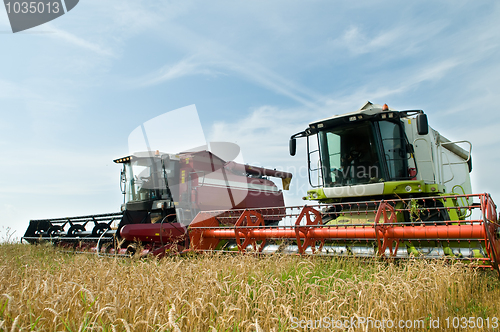 Image of Two working harvesting combines