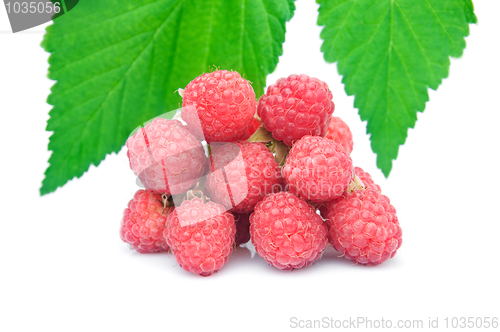 Image of red raspberries and leaves isolated