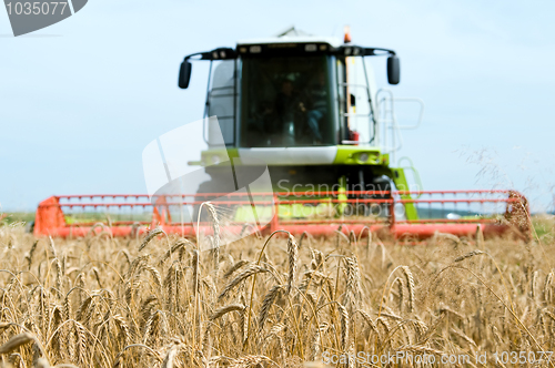 Image of cereals field and combine at background