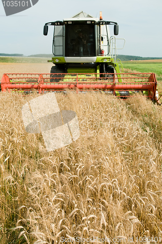 Image of harvesting combine in the wheat field