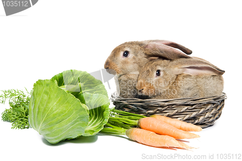 Image of two rabbits in a basket and vegetables