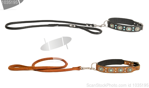 Image of two dog collar with leash