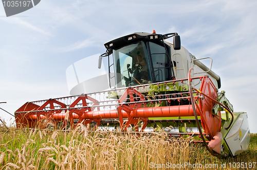 Image of harvesting combine in the wheat field