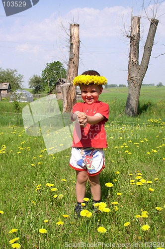 Image of Child and Dandelions