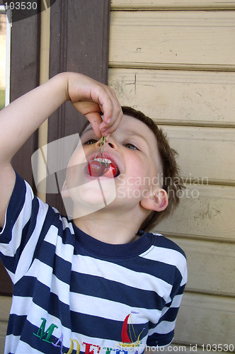 Image of Child Eating Cherries
