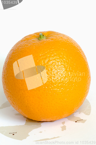 Image of Orange