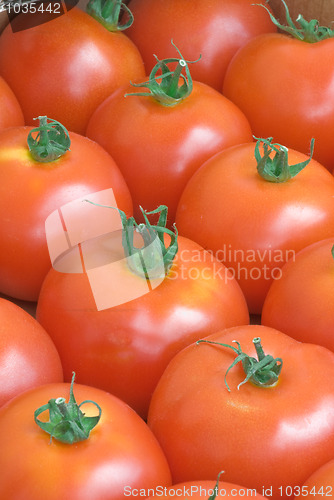 Image of Tomato