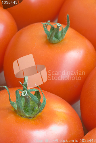 Image of Tomato